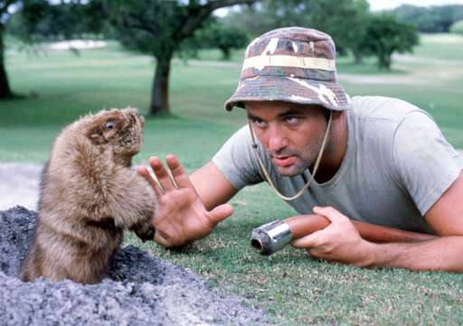 1aacarl-the-greenskeeper-caddyshack2.jpg