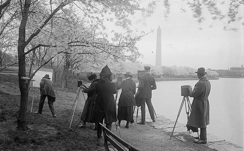 Photographers_shooting_Cherry_blossoms_1922_0.jpg