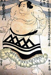 WikiSumoWrestler.jpg
