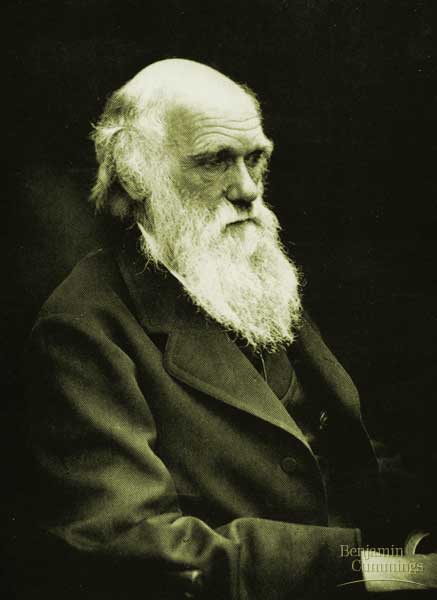 darwin.jpg