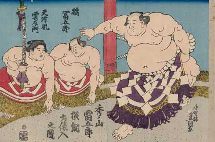 sumo.jpg